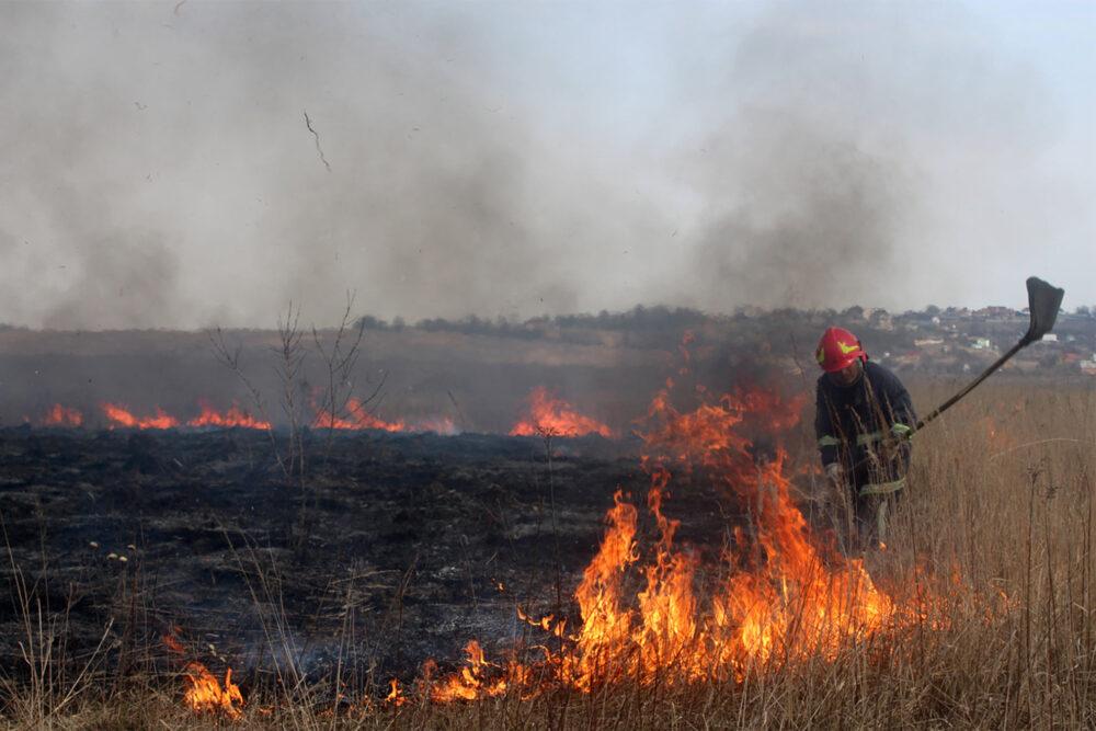 Пожежі ДСНС