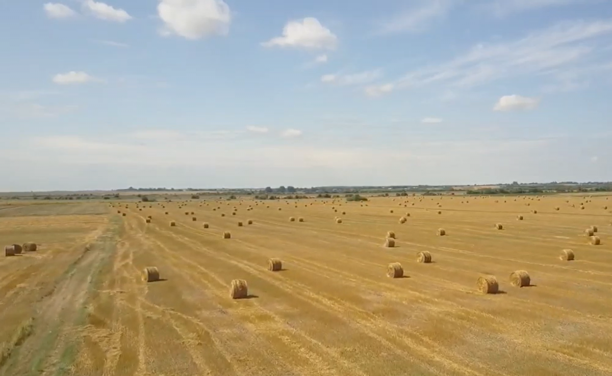 Коршовець 3