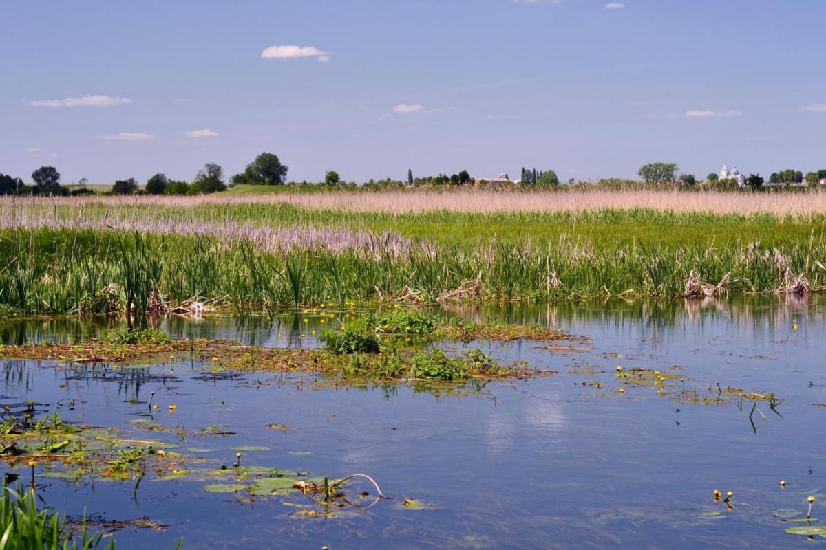 Гірка Полонка 1