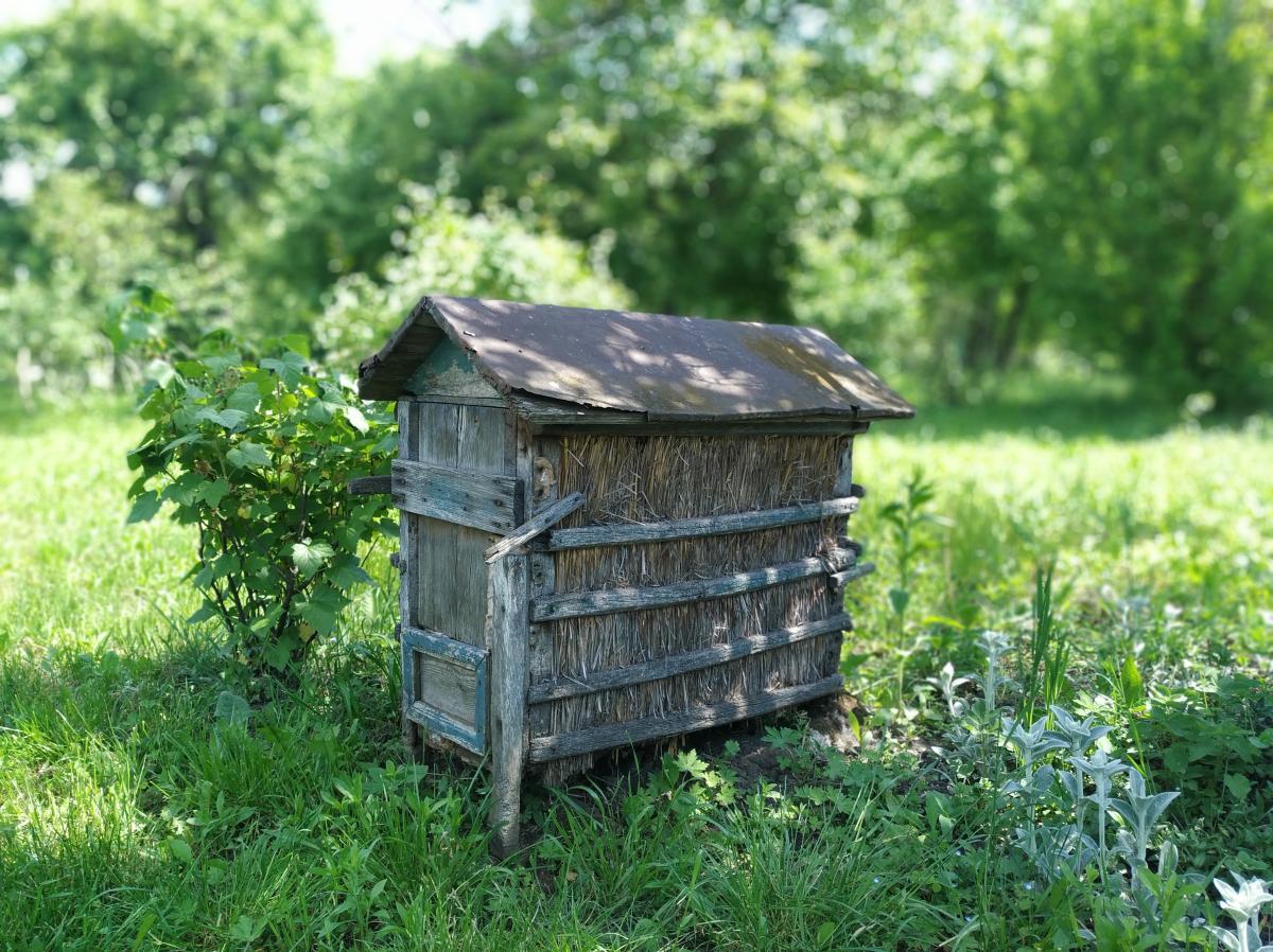 Антон та Марія Шотіки 1