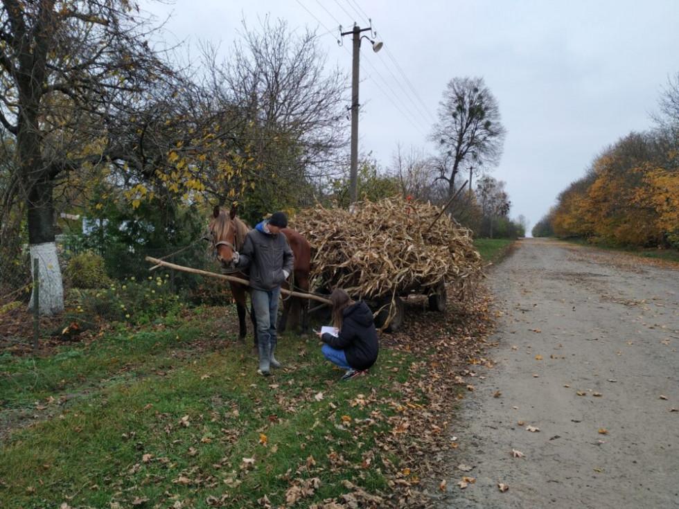 опитування